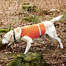 Chaleco reflectante al por mayor del perro de la caza de la capa impermeable del perro